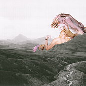 Natural Disasters (2013). Un progetto di Belle arti e Collage di Astrid Vancraeyenest - 01.07.2013