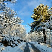 Snow. Photograph project by Madalena Peixoto - 05.08.2023