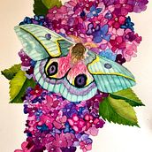 My project for course: Naturalistic Illustration in Watercolor and Gouache. Fine Arts, Painting, Watercolor Painting, Botanical Illustration, Naturalistic Illustration, and Gouache Painting project by Sue Chilson - 05.09.2023