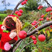 Strawberry Flower - Lala Jina. Picturebook, Knitting, Children's Literature, and Children's Illustration project by Lala Jina - 03.17.2023