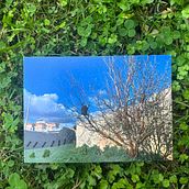 My project for course: Introduction to Photo Embroidery: Create Images with Texture . Fotografia, Papercraft, Bordado, DIY, e Design têxtil projeto de zoeindia17 - 11.05.2023