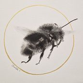 Bourdon au fusain. Un projet de Illustration traditionnelle, Peinture et Illustration naturaliste de charlotte_carcopino - 09.05.2023