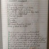 Mi proyecto del curso: Gimnasio de escritura: de la hoja en blanco a la práctica cotidiana. Un progetto di Scrittura, Creatività, Stor, telling, Narrativa e Scrittura creativa di David Romero - 11.05.2023