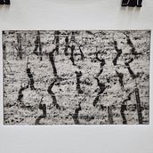 Mon projet du cours : Initiation à la technique de photogravure sur film photopolymère. Projekt z dziedziny Fotografia, Craft,  Sztuki piękne, Stemple, Fotografia art, st, czna i Fotografia analogowa użytkownika atelier_terredailleurs - 14.04.2023