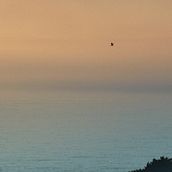 Moderne Naturfotografie . Un progetto di Fotografia di Lea-Melina Berger - 12.05.2023