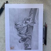 Rana. Lápiz grafito en papel canson. Un proyecto de Dibujo a lápiz, Bellas Artes y Dibujo de Retrato de Marcela Pacheco Weber - 06.05.2023