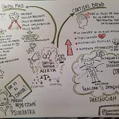 Que es el Cortisol?. Un progetto di Creatività, Disegno e Comunicazione di GABRIELA BARRIA - 12.05.2023