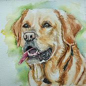 Mijn project van de cursus: Expressieve dierlijke portretten in aquarel. Traditional illustration, Watercolor Painting, Realistic Drawing, Naturalistic Illustration, and Fine Arts project by Cesarine Hiddink - 05.16.2023