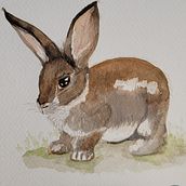 Mi proyecto del curso: Técnicas experimentales de acuarela para principiantes. Traditional illustration, Fine Arts, Watercolor Painting, and Naturalistic Illustration project by irychenserna - 05.16.2023