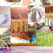 My project for course: Creative Career Growth: Find Your Artistic Path. Un progetto di Consulenza creativa, Comunicazione, Management, produttività e Business di aardkronkel - 17.05.2023