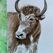 Yak. Ilustração tradicional projeto de Liz - 19.05.2023