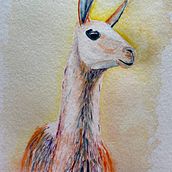 Llama. Ilustração tradicional projeto de Liz - 19.05.2023
