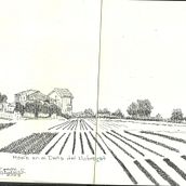 Mi proyecto del curso: Diario ilustrado: llena tu sketchbook de vivencias. Projekt z dziedziny Trad, c, jna ilustracja, Sketching,  R, sunek, Sketchbook,  R i sunek atramentem użytkownika Cesiah Gallegos González - 20.05.2023