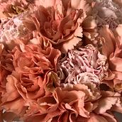 Studio of Joy. Floral, and Plant Design project by Agnes Choi - 05.20.2023