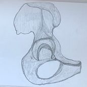Mi proyecto del curso: Dibujo anatómico con lápiz de grafito para principiantes. Een project van  Beeldende kunst, Tekening met potlood,  Tekening, Realistische tekening y Anatomisch tekenen van Julia - 20.05.2023