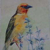 Mon projet du cours : Portraits expressifs d'animaux à l'aquarelle. Ilustração tradicional, Pintura em aquarela, Desenho realista e Ilustração naturalista projeto de Patricia PICCO - 20.05.2023