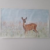 Mijn project van de cursus: Expressieve dierlijke portretten in aquarel deer in the morning. Een project van Traditionele illustratie, Aquarelschilderen, Realistische tekening y Naturalistische illustratie van D Jansen Holleboom - 21.05.2023