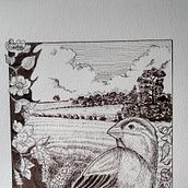 Il mio progetto del corso: Illustrazione con inchiostro e pennino: rappresenta la natura. Sketching, Artistic Drawing, Sketchbook, Ink Illustration, and Naturalistic Illustration project by Rachele - 05.21.2023