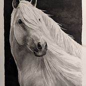 My project for course: Expressive Animal Portraits in Watercolor . % Sharon Wilson tarafından hazırlanan Geleneksel illüstras, on, Sulubo, a Resim, Gerçekçi Çizim, Doğalcı İllüstras, Ve on projesi - 05.18.2023