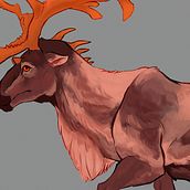 Caribou Drake - Spec Evo Creature Design. Design, Ilustração tradicional, Desenho, Desenho digital, e Design de personagens projeto de nightindrake_art - 28.01.2022