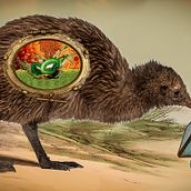 Kiwi. Creativit, and Photomontage project by Alain Gauvrit - 05.22.2023