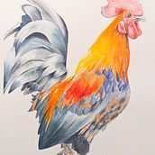 Jungle Fowl. Un progetto di Pittura di fauna86 - 23.05.2023