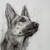 My project for course: Animal Illustration with Charcoal and Ink. Fine Arts, Drawing, Ink Illustration, and Naturalistic Illustration project by Ingrid Fürhacker - 05.23.2023