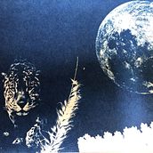 Mi proyecto del curso: Cianotipia: técnica de impresión con luz. Projekt z dziedziny Craft,  Sztuki piękne, Stemple, DIY i Fotografia analogowa użytkownika Carolina Villate - 23.05.2023