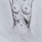 My project for course: Fundamentals of Figure Drawing with Charcoal. Fine Arts, Drawing, Realistic Drawing, and Figure Drawing project by Susan Evans - 05.22.2023