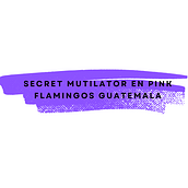 Secret Mutilator en Pink Flamingos Guatemala. Un progetto di Cinema, video e TV, Video, Produzione audiovisiva, Postproduzione audiovisiva, Multimedia e Creatività di Andrea Vásquez - 24.05.2023