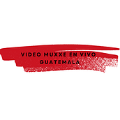 Muxxxe en vivo Guatemala (Diciembre 2021) 💣💥. Un progetto di Cinema, video e TV, Video, Produzione audiovisiva, Postproduzione audiovisiva e Multimedia di Andrea Vásquez - 24.05.2023