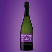 DISEÑO ETIQUETA PARA CAVA TEMPUS - EL CELLER DE SANT JOAN SAMORA. Packaging, Graphic Design, Br, ing & Identit project by Henry José Fuentes Rodriguez - 05.24.2023