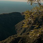 Areas Naturales Protegidas. Un proyecto de Cine, vídeo, televisión, Corrección de color, Edición de vídeo y Realización audiovisual de Julián Lucero - 12.05.2023