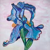Expressive flower with watercolors and watercolor pencils. Projekt z dziedziny  Sztuki piękne, R, sunek botaniczn,  R, sunek, Malowanie akwarelą, Ilustracja naturalist i czna użytkownika Beant Kaur Dhillon - 26.05.2023