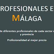 Profesionales en Málaga. Un progetto di Web design e Web development di Borja Guerrero - 26.05.2023