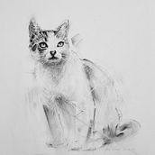 Mon projet du cours : Dessin expressif au fusain. Fine Arts, Drawing, Portrait Drawing, and Naturalistic Illustration project by dalgil - 05.27.2023