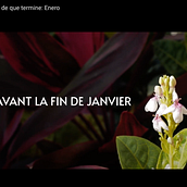 CORTOMETRAJE - Antes de que termine: Enero. Un proyecto de Cine, vídeo, televisión, Producción audiovisual					 y Postproducción audiovisual de Isabella Alguacil - 27.01.2023