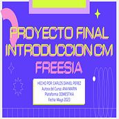Introducción al community management - FREESIA (Make up, Accesorios y Belleza). Social Media, Digital Marketing, Content Marketing, Facebook Marketing & Instagram Marketing project by Carlos Perez - 05.28.2023