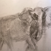 My project for course: Expressive Drawing with Charcoal. Fine Arts, Drawing, Portrait Drawing, and Naturalistic Illustration project by giretalison - 05.28.2023