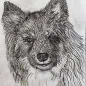 Charcoal pencil drawing with some corrections Ein Projekt aus dem Bereich Traditionelle Illustration von Elspa Metzdorff - 29.05.2023