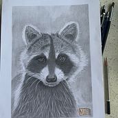Mapache lápiz grafito en papel canson . Un proyecto de Ilustración tradicional y Dibujo a lápiz de Marcela Pacheco Weber - 29.05.2023