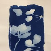 Mi proyecto del curso: Cianotipia: técnica de impresión con luz. Arts, Crafts, Fine Arts, Printing, DIY, and Film Photograph project by Antonio Vicente Rodriguez Gonzalez - 11.29.2023