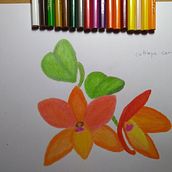 Orchid. Un proyecto de Ilustración tradicional de Sonia Maricel Aquino - 30.05.2023