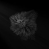 Digital Organism. Interactive Design, Digital Painting, and Fine Arts project by Pablo Alpe - 05.30.2023