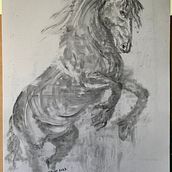 Rearing Horse in Charcoal. Traditional illustration project by mariabligh - 05.31.2023