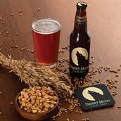 Passion project - A case study for Desert Moon Craft Beer. Br, ing, Identit, Graphic Design, and Packaging project by Ellen Eustace - 05.27.2023