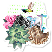 Earth Week 2023. Art Direction, Br, ing, Identit, Events, Graphic Design, Traditional illustration, and Motion Graphics project by kyra.devine - 06.01.2023
