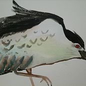 Il mio progetto del corso: Acquerelli naturalistici espressivi e con personalità. Traditional illustration, Watercolor Painting, and Naturalistic Illustration project by Maria Grazia Santonicola - 06.01.2023