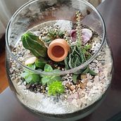 Mi proyecto del curso: Arte vegetal: crea tu propio terrario abierto. Un proyecto de Diseño de interiores, Decoración de interiores, DIY, Diseño floral, vegetal y Paisajismo de PAULINA TOBAR - 28.02.2023