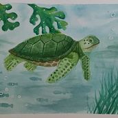 Tortuga de mar. Watercolor Painting project by verosfera - 06.03.2023